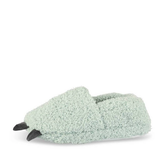 Slippers GREEN Boy