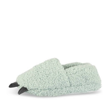 Slippers GREEN Boy