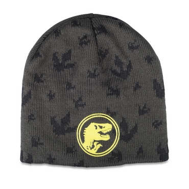 Hat GREY / GREEN / BLACK Boy
