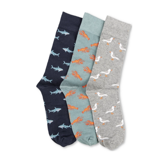 Chaussettes MULTICOLORE Homme