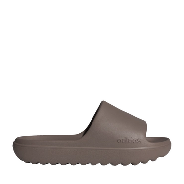 Flip flops BROWN Men
