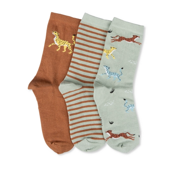 Socks WHITE / BLUE Boy