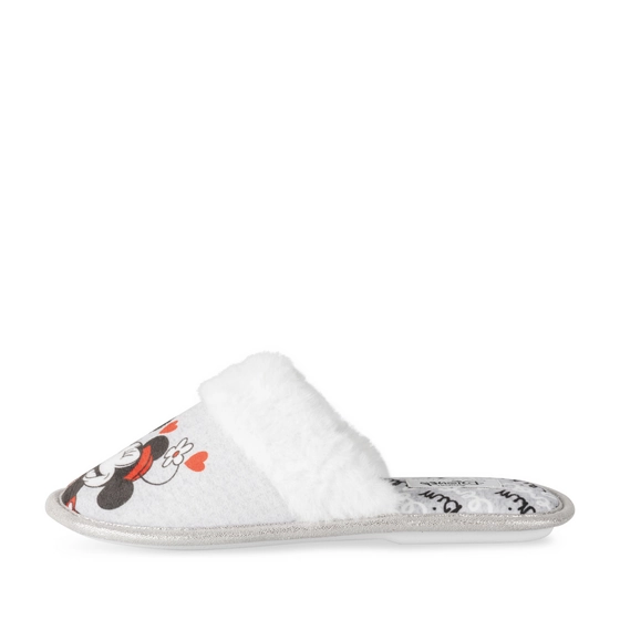 Chaussons GRIS Femme