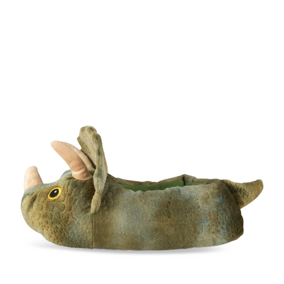 Slippers GREEN Boy
