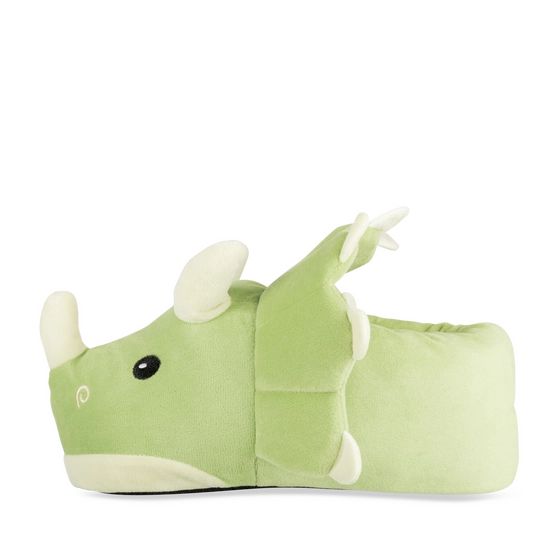 Slippers GREEN Boy