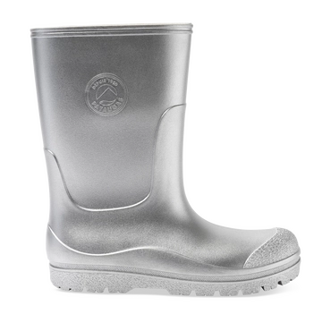 Bottes de pluie ARGENT Femme