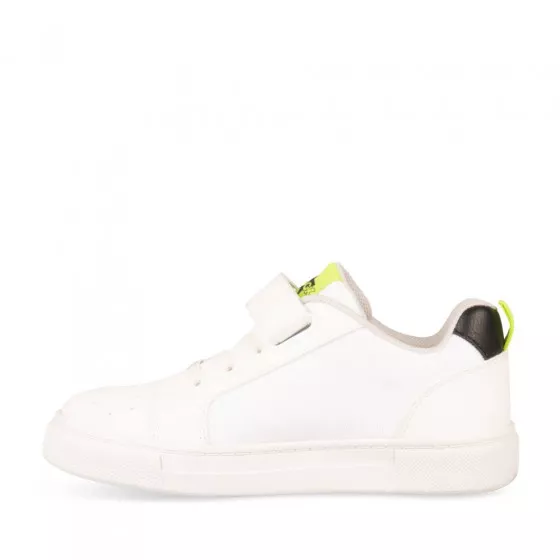 Sneakers WHITE TAMS