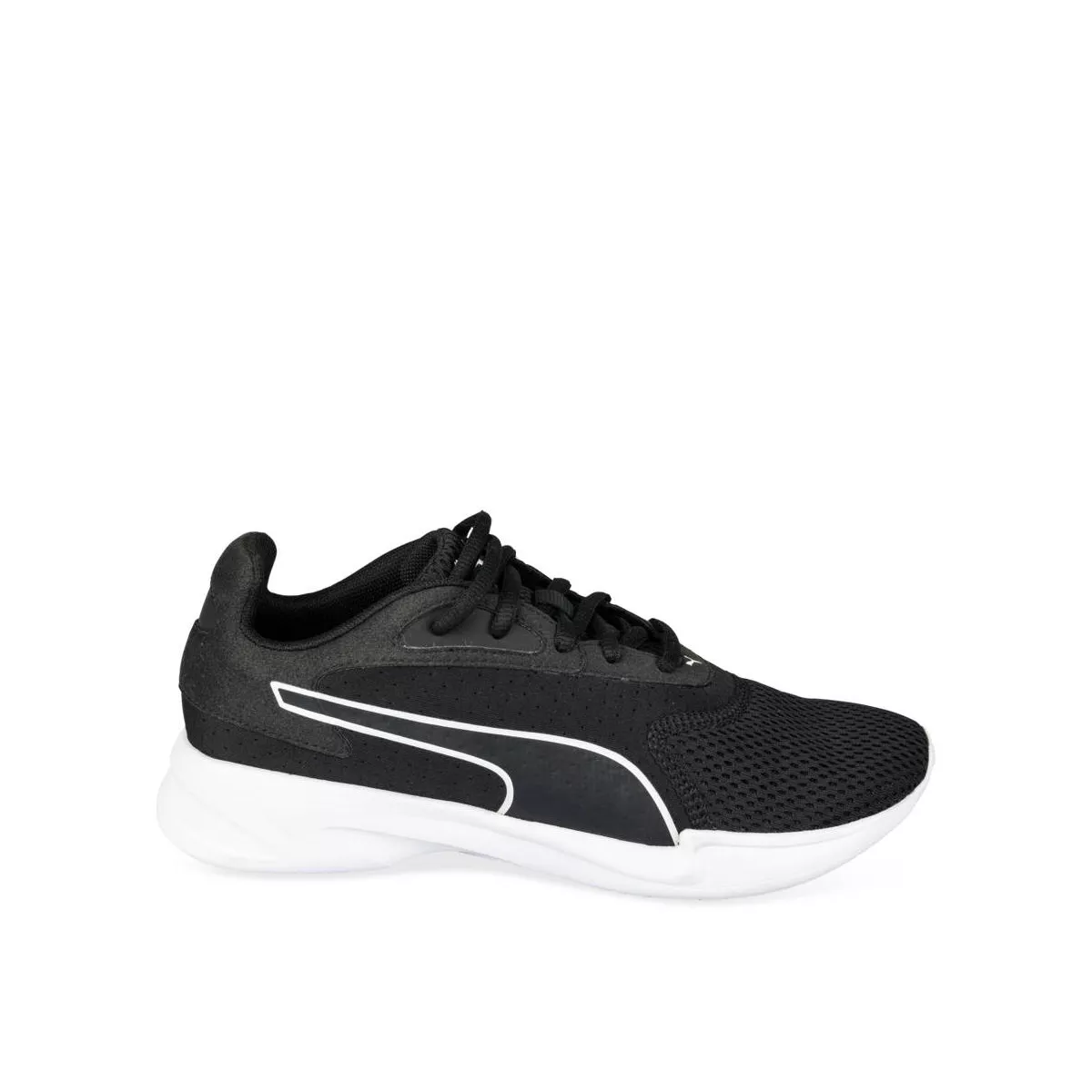 Puma jaro online