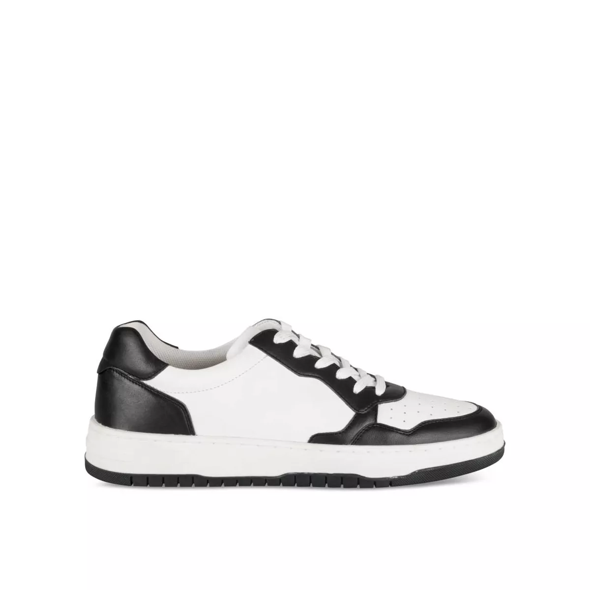 Baskets san marina online