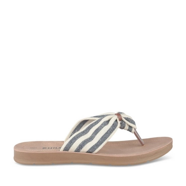 Tongs MARINE/BLANC Femme