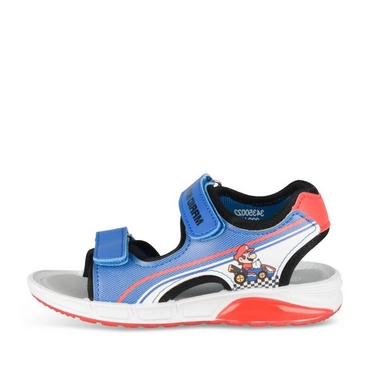 Sandals NAVY / RED Boy