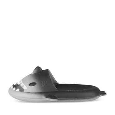 Flip flops GREY Boy
