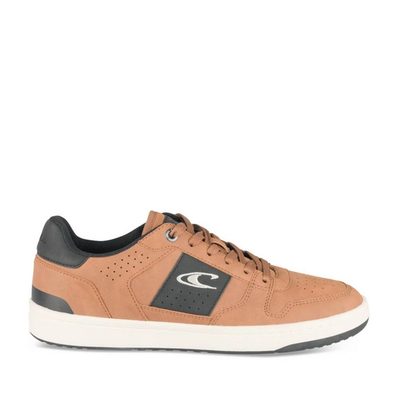 Sneakers TAN Men