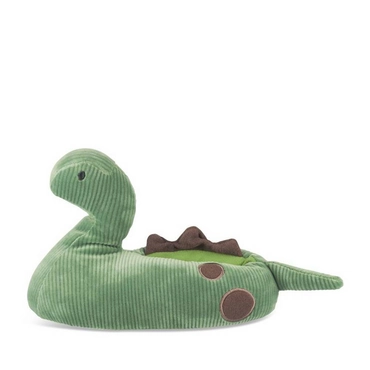 Slippers GREEN Boy