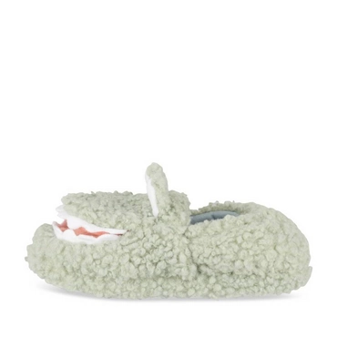 Slippers GREEN Boy