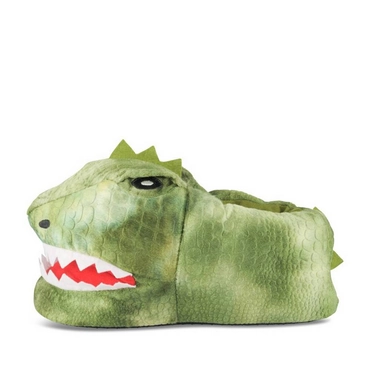 Slippers GREEN Men