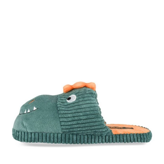 Pantoffels GROEN Jongen