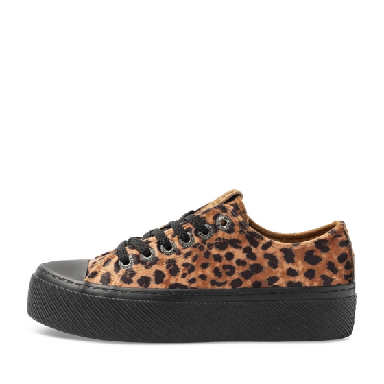 Baskets LEOPARD Femme