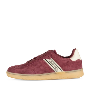 Sneakers BORDEAUX Dames