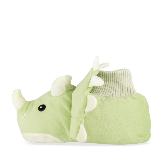 Pantoffels GROEN Jongen