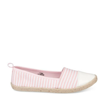 Sneakers ROZE MERRY SCOTT