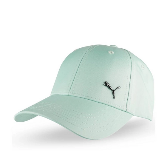 Pet BLAUW Jongen