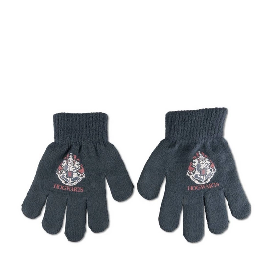 Handschoenen NAVY Jongen