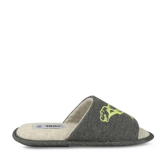 Chaussons GRIS Garçon