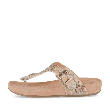 Teenslippers_avec_talon GOUD Dames