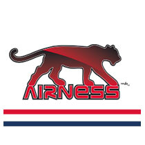 Logo AIRNESS